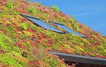 Cambridge Town living roof systems