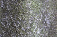 Cambridge Town fibreglass roof work